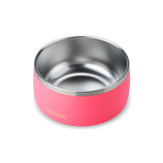 Pet Bowl Hyper Flamingo