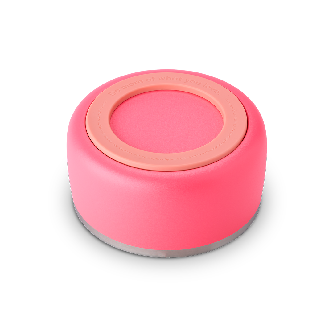 Pet Bowl Hyper Flamingo