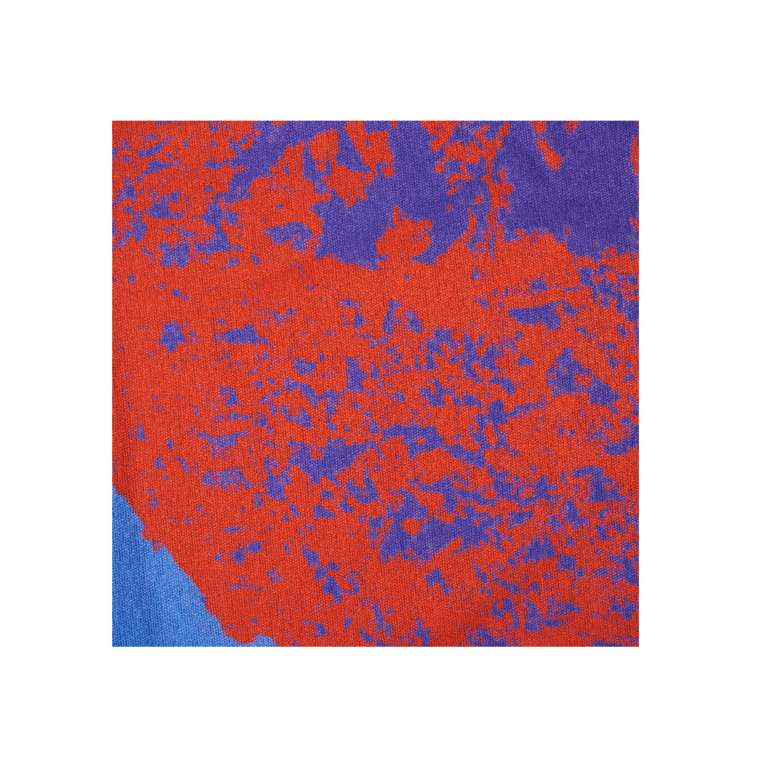 Beach Towels Wild Wild West